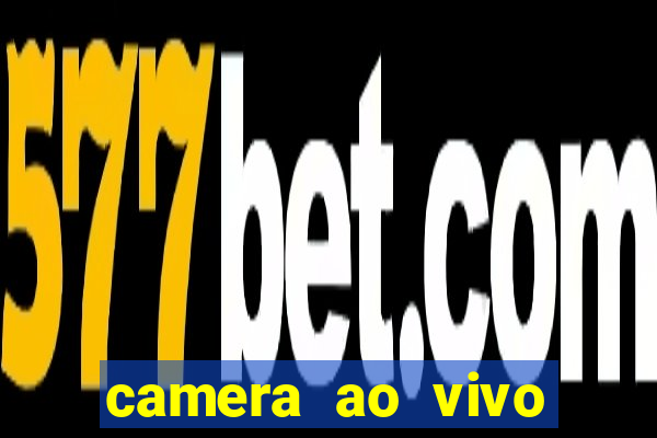 camera ao vivo beto carrero