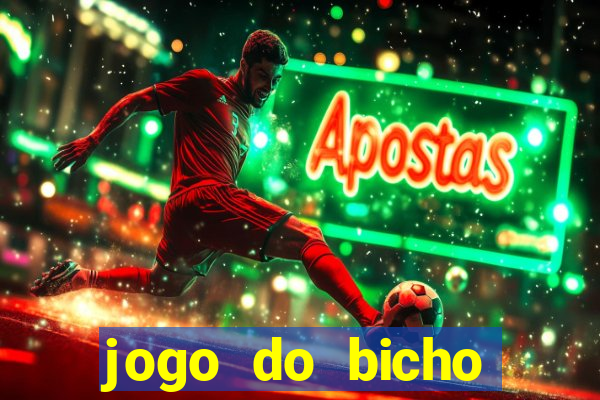 jogo do bicho crash bingo