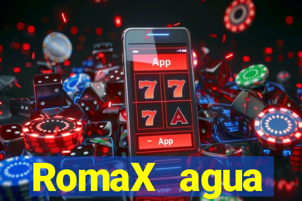 RomaX agua sanitaria fispq agua sanitaria romax