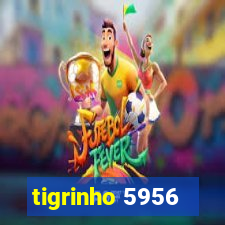 tigrinho 5956