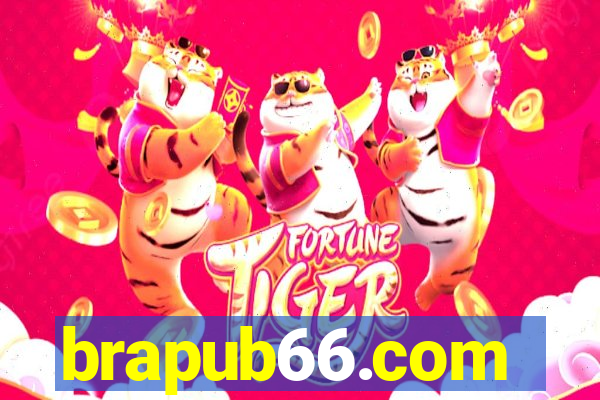 brapub66.com