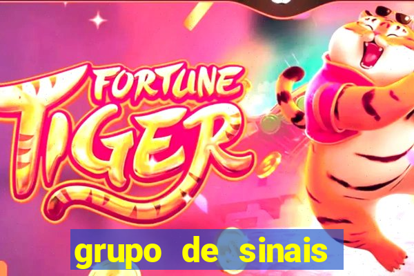 grupo de sinais fortune rabbit